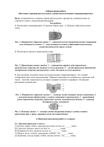 контрольная работа