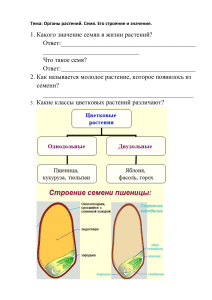 Рабочий лист к уроку СЕМЯ