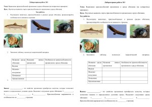 Лабораторная работа по биологии на тему   Выявление приспособлений организмов к среде обитания (на конкретных примерах).  Для 5 класса