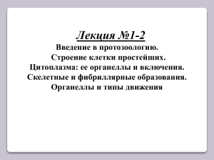 Введение в протозоологию