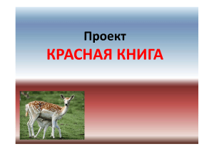 Проект Красная Книга 2 класс