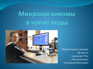 Презентация Микроорганизмы в капле воды