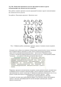 Л.Р.10 класс 22.02.24