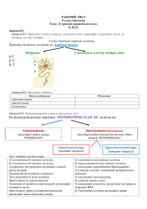РАБОЧИЙ ЛИСТ биология 8 кл.