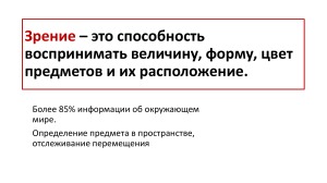 Презентация по биологии на тему  Зрительный анализатор 