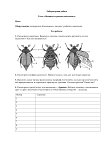 Лабораторная работа насекомые