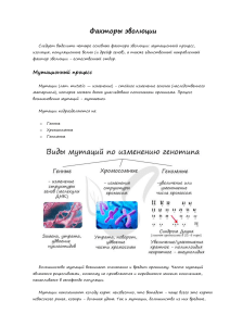 Факторы эволюции