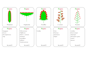 Карточки по растениям