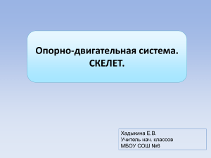 Презентация по окружающему миру  Опорно-двигательная система  3 класс