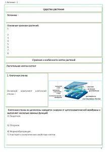 1. растительная клетка - рабочий лист