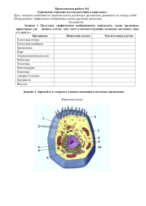 практическая работа по биологии