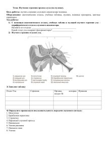 Лабораторная ухо 