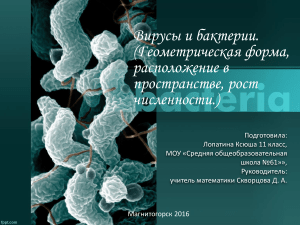 Вирусы и бактерии. (Геометрическая форма, расположение в пространстве, рост численности.)