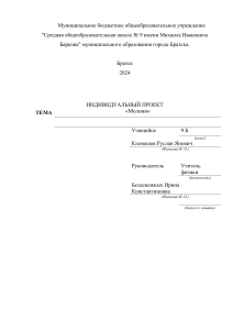 Индивидуальный проект. Тема  Молния - красивое, но опасное явление 