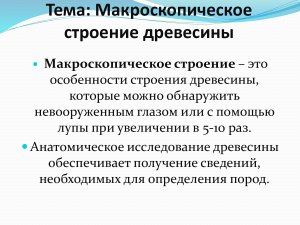 Макроскпическое строение