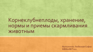 Корнеклубнеплоды, хранение, нормы и приемы скармливания животным