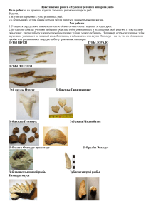 практическая работа " Изучение ротового аппарата рыб"