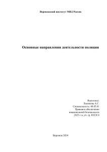 направления деятельности полиции