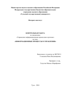 Информационные процессы в управлении